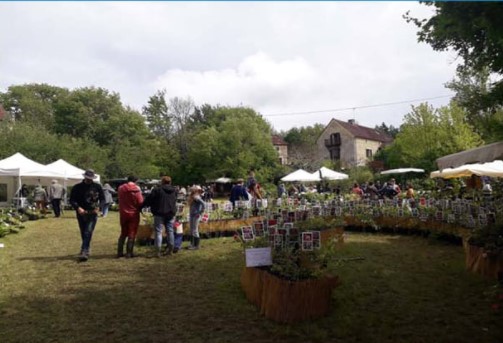 La fête des plantes 2021, une réussite…