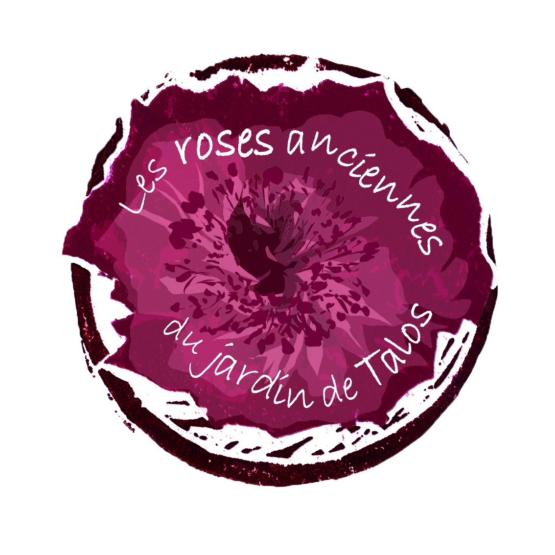 Les Roses Anciennes du Jardin de Talos